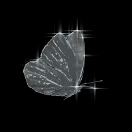 Cường Bạch Hành trình sự nghiệp